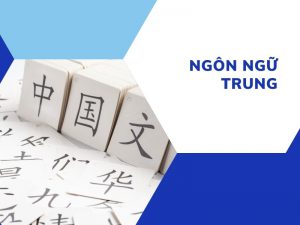 Ngành ngôn ngữ Trung