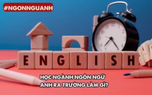 học ngôn ngữ anh ra trường làm gì