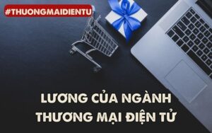 lương của ngành thương mại điện tử