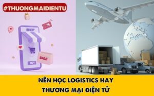 nên học logistics hay thương mại điện tử