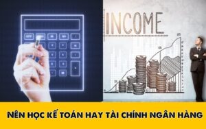 nên học kế toán hay tài chính ngân hàng