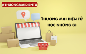 thương mại điện tử học những gì