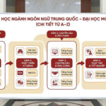 lo-trinh-ngon-ngu-trung-dh-mo-hanoi-e-hou-1